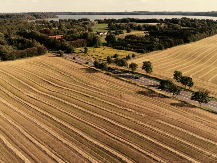 Høst drone